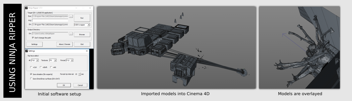 Ninja Ripper capture
