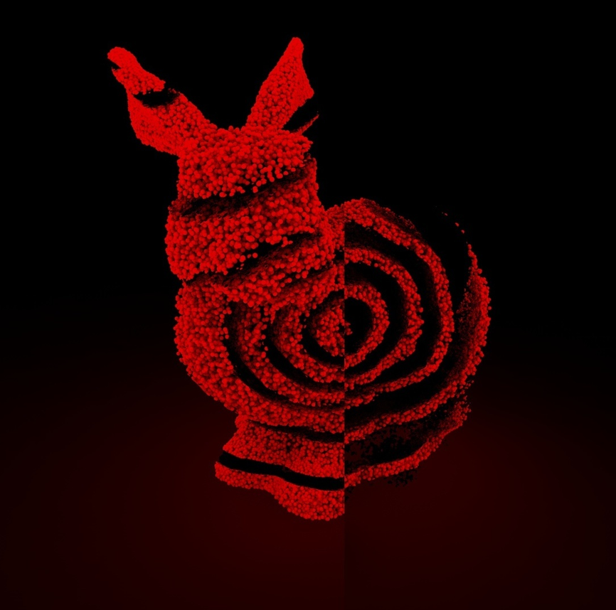 CGI Abstract Bunny I